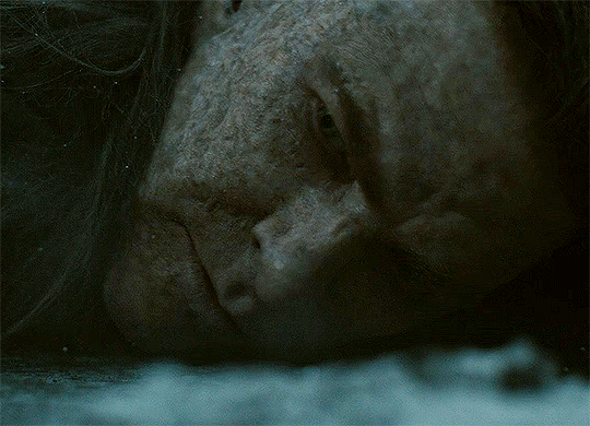 https://64.media.tumblr.com/7a672240f8d9ce3649e7d3f905ad868f/34d6976b7af1b0fc-18/s1280x1920/335a55325025950d76e3351d25bd6661a9b4229c.gifv