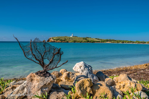 aarniella:Bahía Sucia, Playuela y Faro de Cabo Rojo. Puerto Rico.