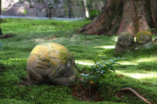 大原三千院にて苔の布団で昼寝してるお地蔵さんhttp://kyotokurashi.blog.fc2.com/