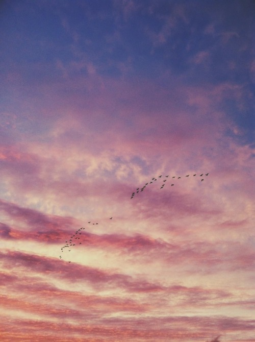 mostlyfiction:  A day like today deserves to be noticed. 