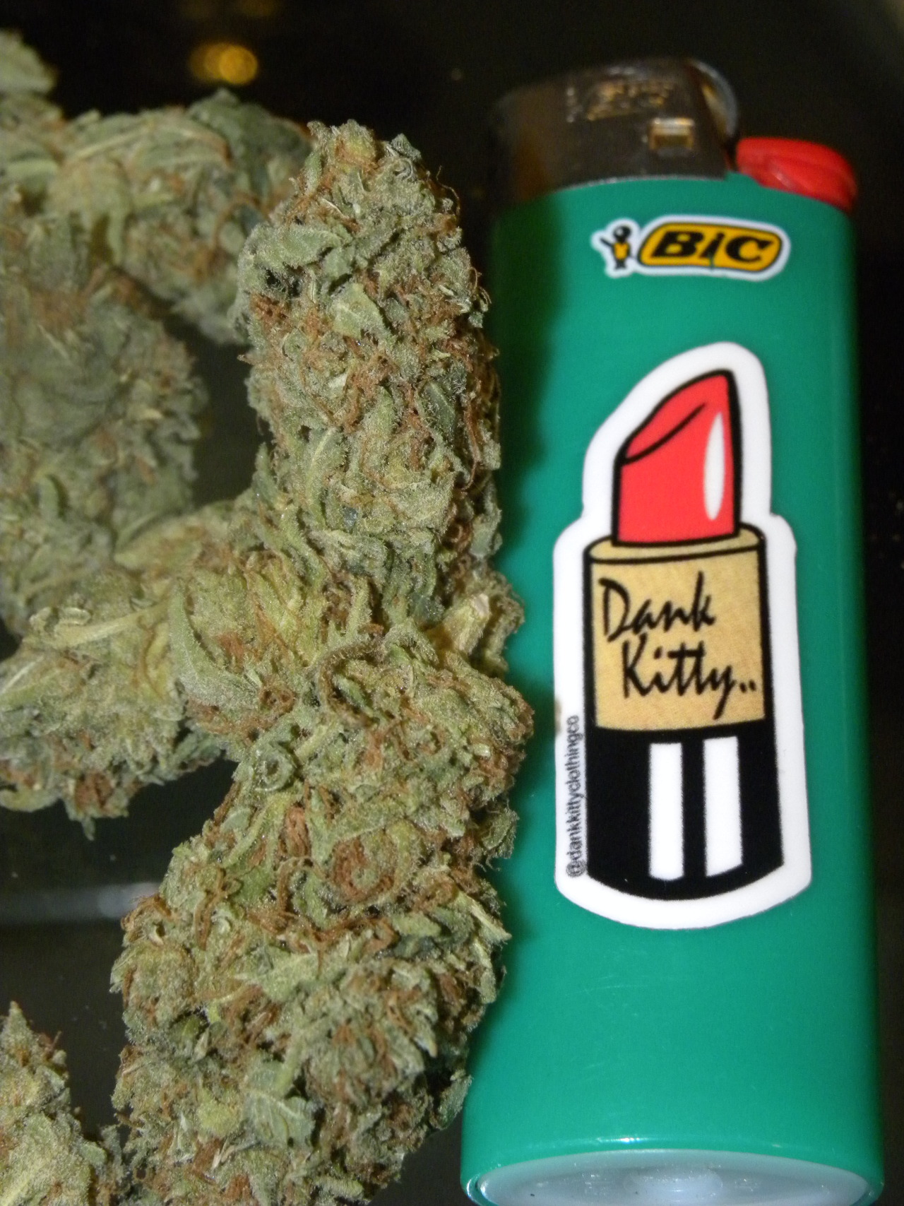 the-stoner-sage:  dank kitty