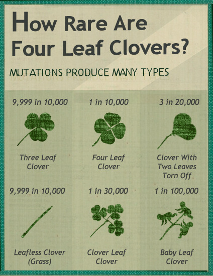 The Mysterious Genetics of the Four-Leaf Clover