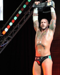 rwfan11:  CM Punk- nice bulge 