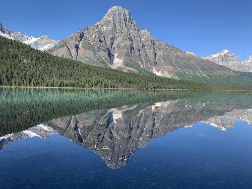 oneshotolive:  Postcard image: Bow Lake Banff National Park [1242 x 2688] [OC] 📷: WebApprehensive8919 