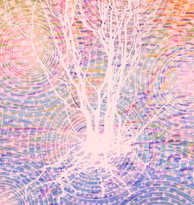 pureblindingcolour:Connectedness, roots, branches by pureblindingcolour 