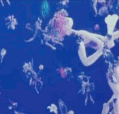 Ji Trnka:Sen Noci Svatojnsk (1959) | A Midsummer Night's Dream