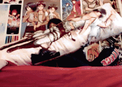 Askaheichou:  Irlshingekiuniversity:  Heichouuuuu!! &Amp;Lt;3 &Amp;Lt;3 &Amp;Lt;3