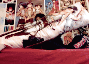askaheichou:  irlshingekiuniversity:  Heichouuuuu!! <3 <3 <3 Heichou Heichou~! <3 <3 <3 Bet you wish you had one >:P  *more follower traumatizing*    Nyooooom! 