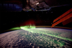 scinerds:  spaceplasma:  Aurora Australis Observed from the International Space Station  Credit: Lunar and Planetary Institute   Incredible! 