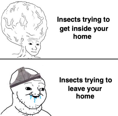 Also applies to insects and light fixtures