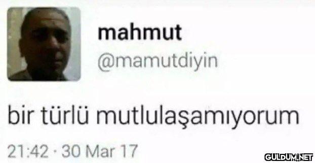 mahmut @mamutdiyin bir...