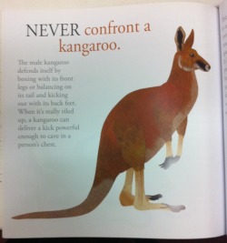 deep-space-diver:  You know what doesn’t fuck around? Australian children’s books on animals 