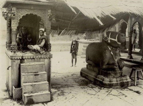 Nandi at Gyan Vapi Temple, Varanasi, vintage photo