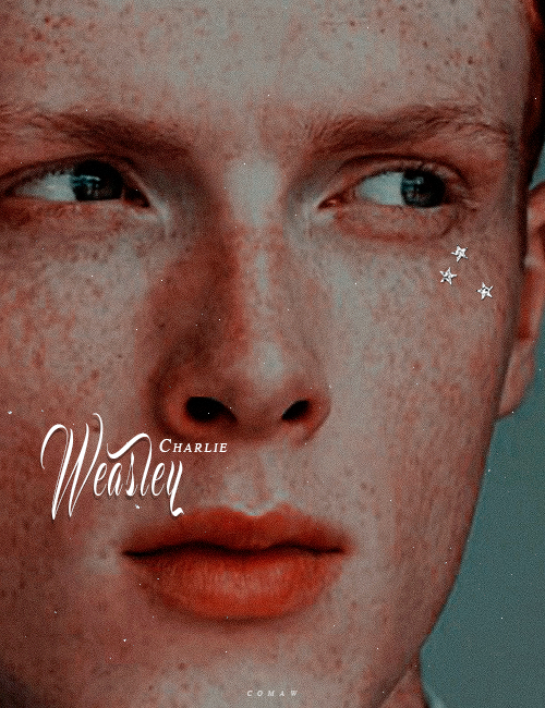 —  A E S T H E T I C S —Charles «Charlie» Weasley