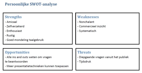 Visie Conceptontwikkeling Persoonlijke Swot Analyse Met Betrekking Tot