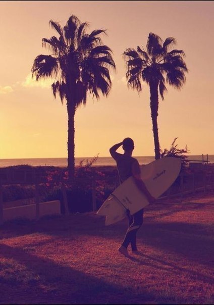 Live Free