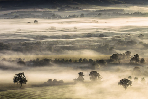 Lost in the mists of time by Grandpops Woodlice on Flickr.