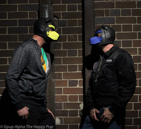 Few more pics of @secapup and I in our neoprene dog masks… Remember to support those who support our community Ping: @mrsleatherYou can check out the Neoprene Puppy Masks Here -> http://glink.me/neoprenehood