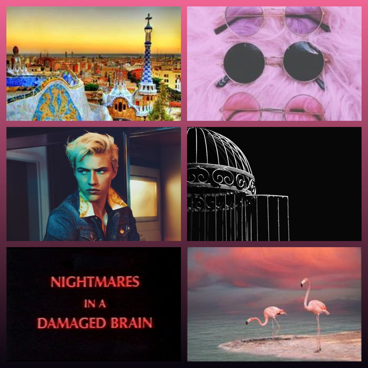 One Piece Aesthetic - Doflamingo Aesthetic