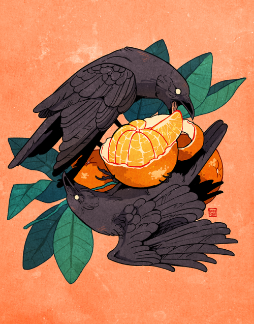 doorfus: koukouvayia: monch [Image description: art of two crows eating an orange that they’ve