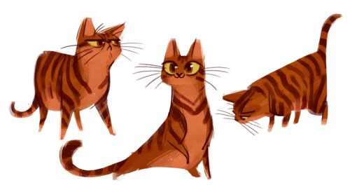 dailycatdrawings: 326: Orange Kitties