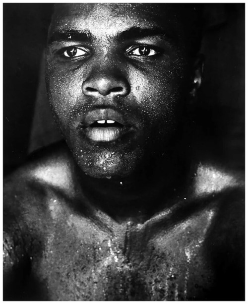 ruihenriquesesteves: Muhammad Ali (1942-2016) by Gordon Parks, 1966