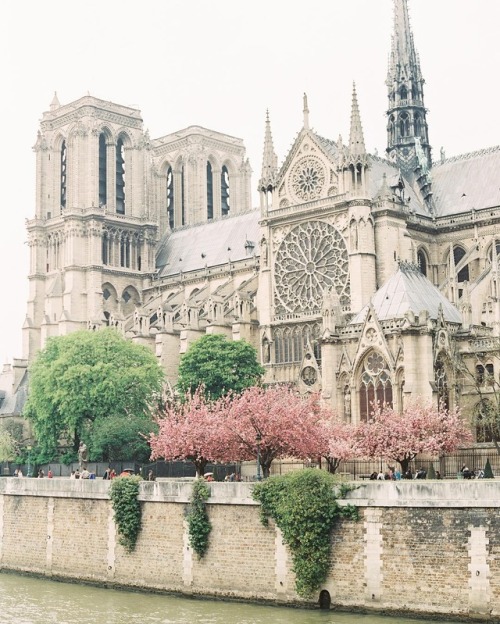 Cathédrale Notre-Dame de Paris | by Oliver Fly