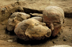 museum-of-artifacts: Decorated  human skulls