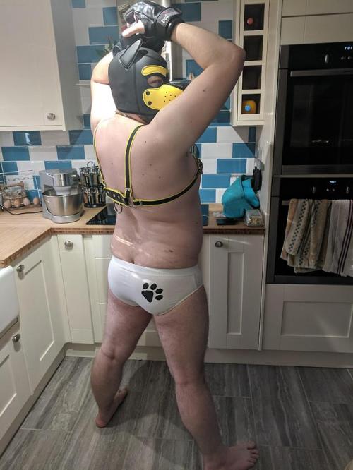 themoodybear: Sexy puppy butt.. the baking pup..  Hehe love these from Orlo.   Pup paw underwear from http://themoodybear.com/pupbum.html  Pup Top ( neo hood ) and tail … Love it!