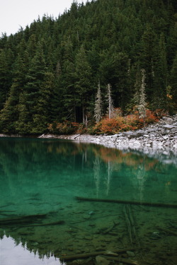 seandalin:  Lindeman Lake, British Columbia 