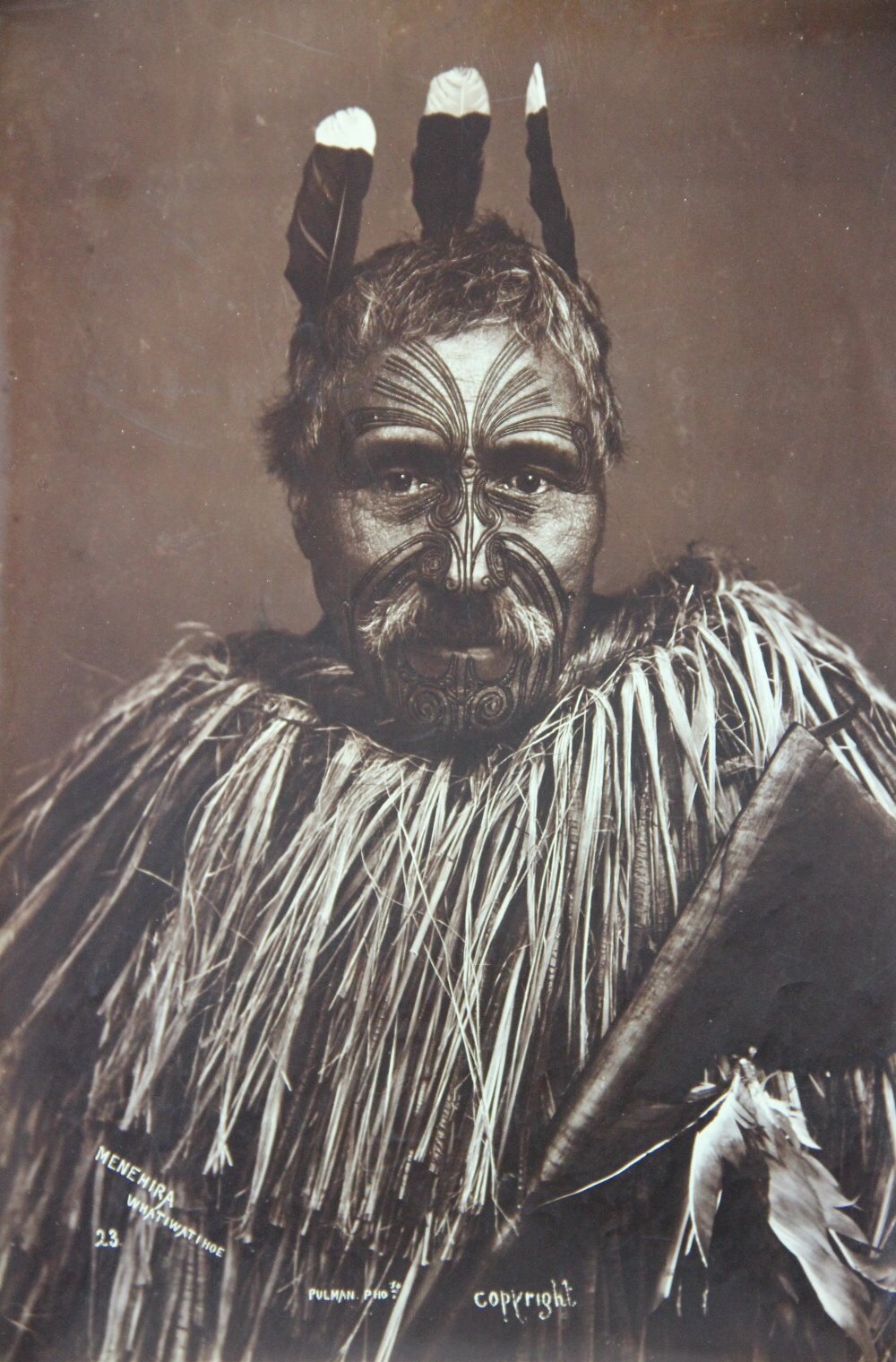 Elizabeth Pulman (1836-1900) - Menehira Whatiwatihoe
Albumen photograph, trimmed. Taken c.1880′s.
Pulman is regarded as New Zealand’s first professional female photographer. Note the now extinct huia’s feathers in his hair.