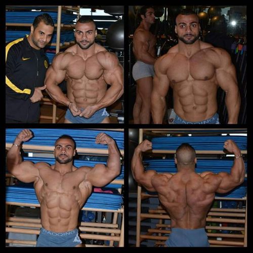 drwannabe:  Galal Zakaria