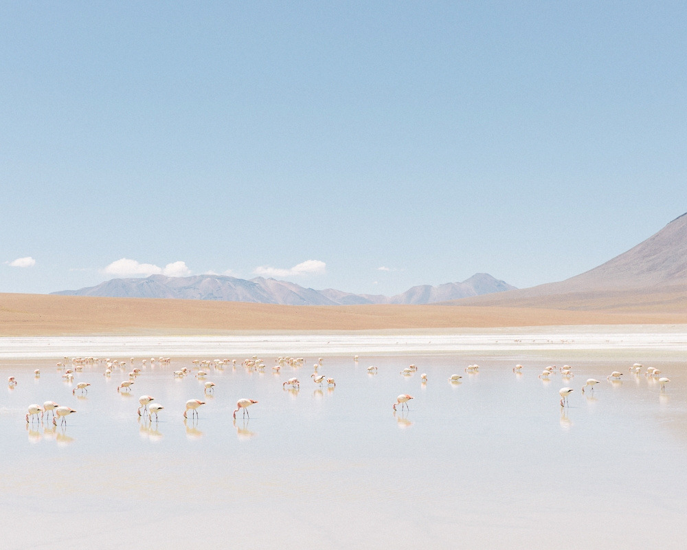 thephotoregistry:  From BoliviaKevin Faingnaert