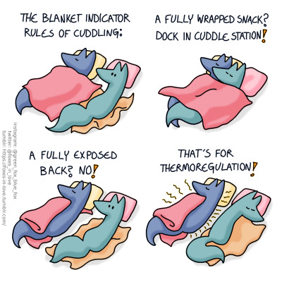 A comic of two foxes, one of whom is blue, the other is green. In this one, Blue and Green are in bed, with Blue sleeping fully covered under a blanket with his back towards Green. Green is awake, turning over to look at Blue.
Narration: The blanket indicator rules of cuddling:

Green rolls over to cuddle Blue, joining him under the blanket.
Narration: A fully wrapped snack? Dock in cuddle station!

Similarly to first image, Green is looking at Blue, who is sleeping with his back towards Green. This time, Blue's blanket is folded on top of him, exposing his back.
Narration: A fully exposed back? No!

Green turns back over, leaving Blue to sleep undisturbed. He is radiating heat from all directions.
Narration: That's for thermoregulation!