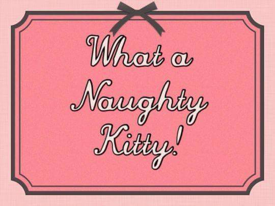 pinkkitteninsocks:  Giggles. ~🎀🐾