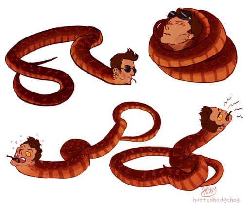 hattedhedgehog:I remembered the animal transformation difficulties in What We Do in the Shadows, and
