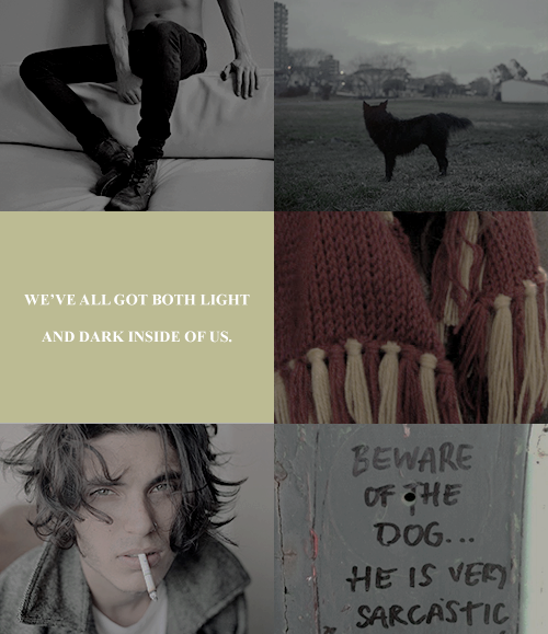 ginnvs:  hp aesthetics - sirius black If you want to know what a man’s like, take a good look 