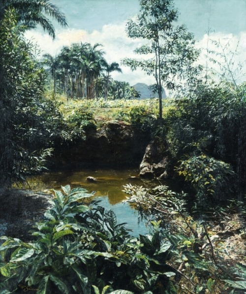 Tavik F. SimonPalm grove in Ceylon, 1927