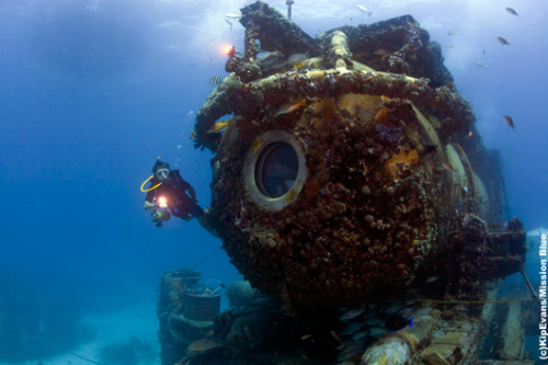 XXX sagansense:  Cousteau kin set to live underwater photo