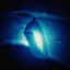 bluepurplesblog
