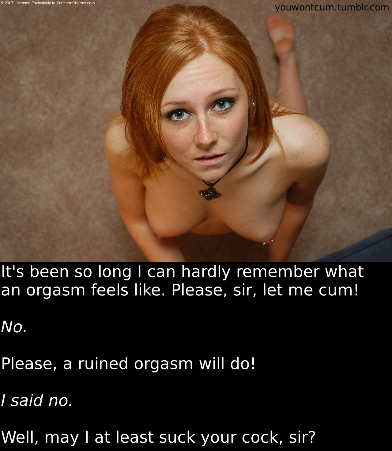 youwontcum:  It’s been so long I can hardly remember what an orgasm feels like.