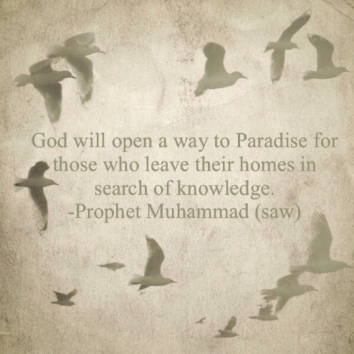God will open a way to Paradise for those who leave their homes in search of knowledge. -Prophet Muh