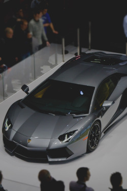 exclusive-pleasure:  Aventador 