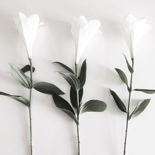 jessica154blog:  via lenaskru
