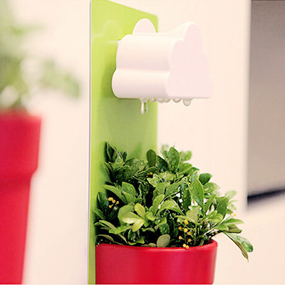niseu: Creative Clouds Rainy Wall-hung Flower Pot3rd Anniversary Sales Aug. 8th - 10th!72 Hours Epic