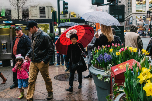 Spring on 34th Street