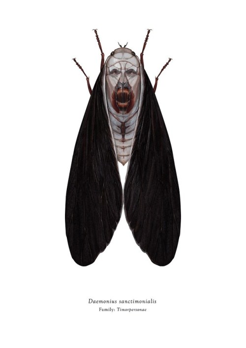 unexplained-events: Project: Arthropoda IconicusSeries: Timorpersonae by Richard Wilkinson  This ser