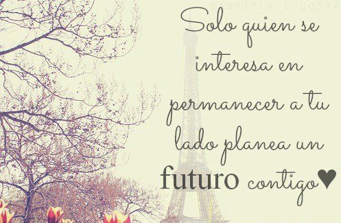 Never Give Up