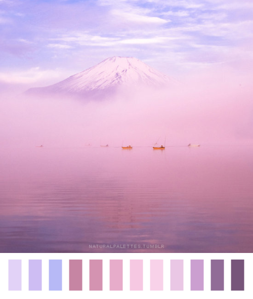 Mt Fuji