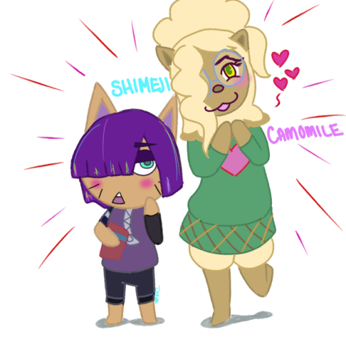debusenpai:@speyerboot‘s and my bnha OC’s Shimeji and Camomile in AC: Pocket Camp style uwuI LOVE TH